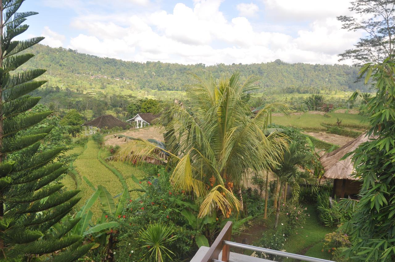Villa Shantiasa Bali Sidemen  Exteriér fotografie